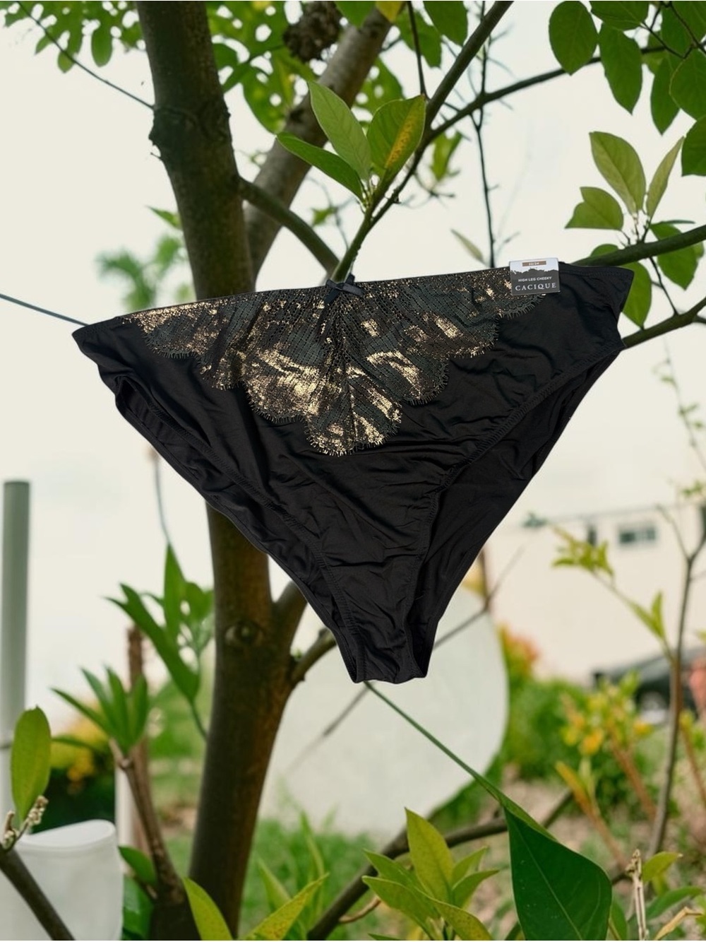 22/24 High Leg Cheeky Cacique Black Lace Gold Metallic Embroidered Sexy Panty